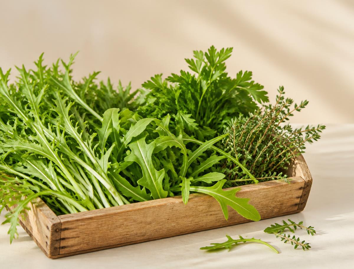 Freshly cut rocket, mizuna, parsley and thyme in a wooden tray